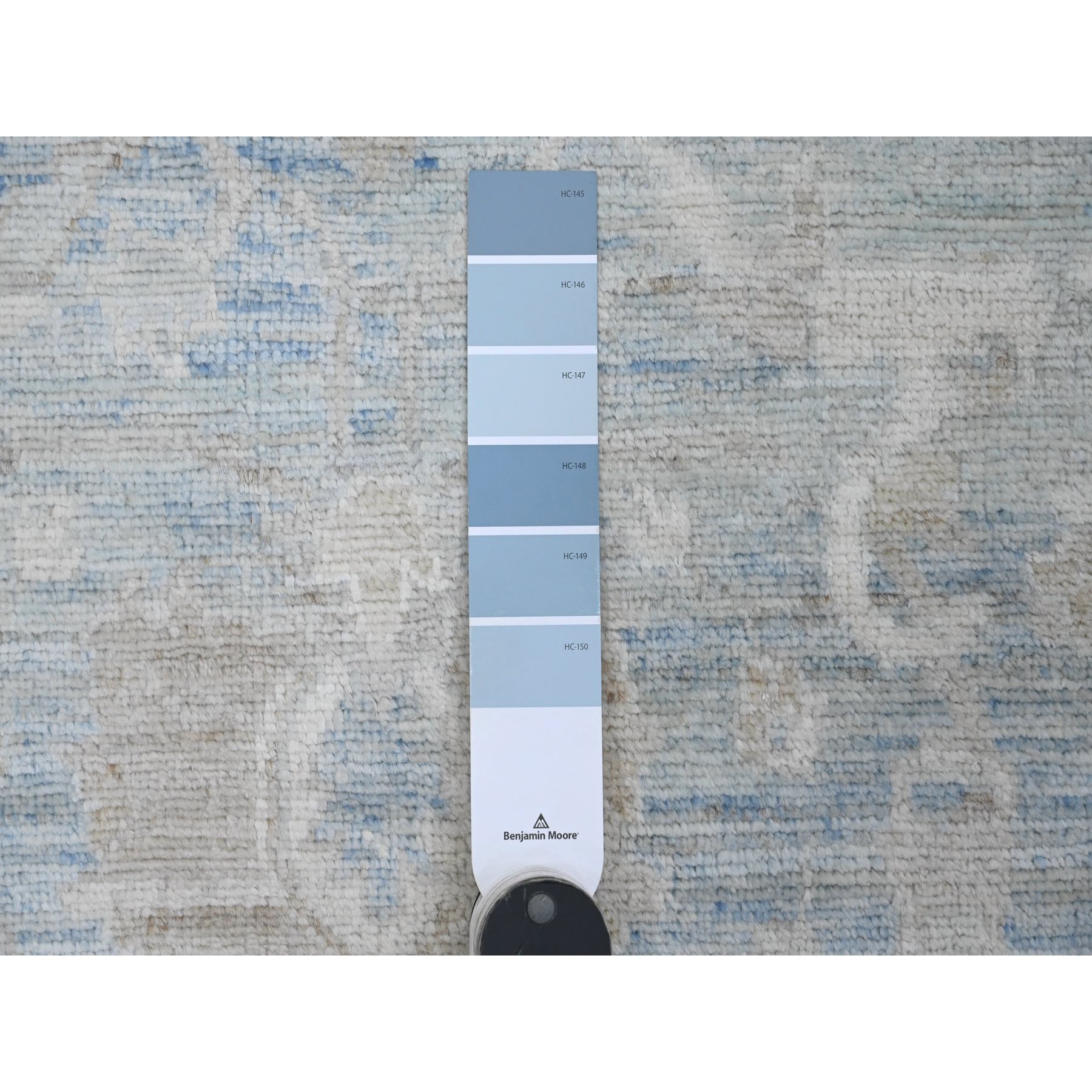 8'8"x12' Carolina Blue, White Wash Peshawar with All Over Leaf Design, Hand Knotted, Abrash, Veggie Dyes, 100% Wool, Oriental Rug Sh20165