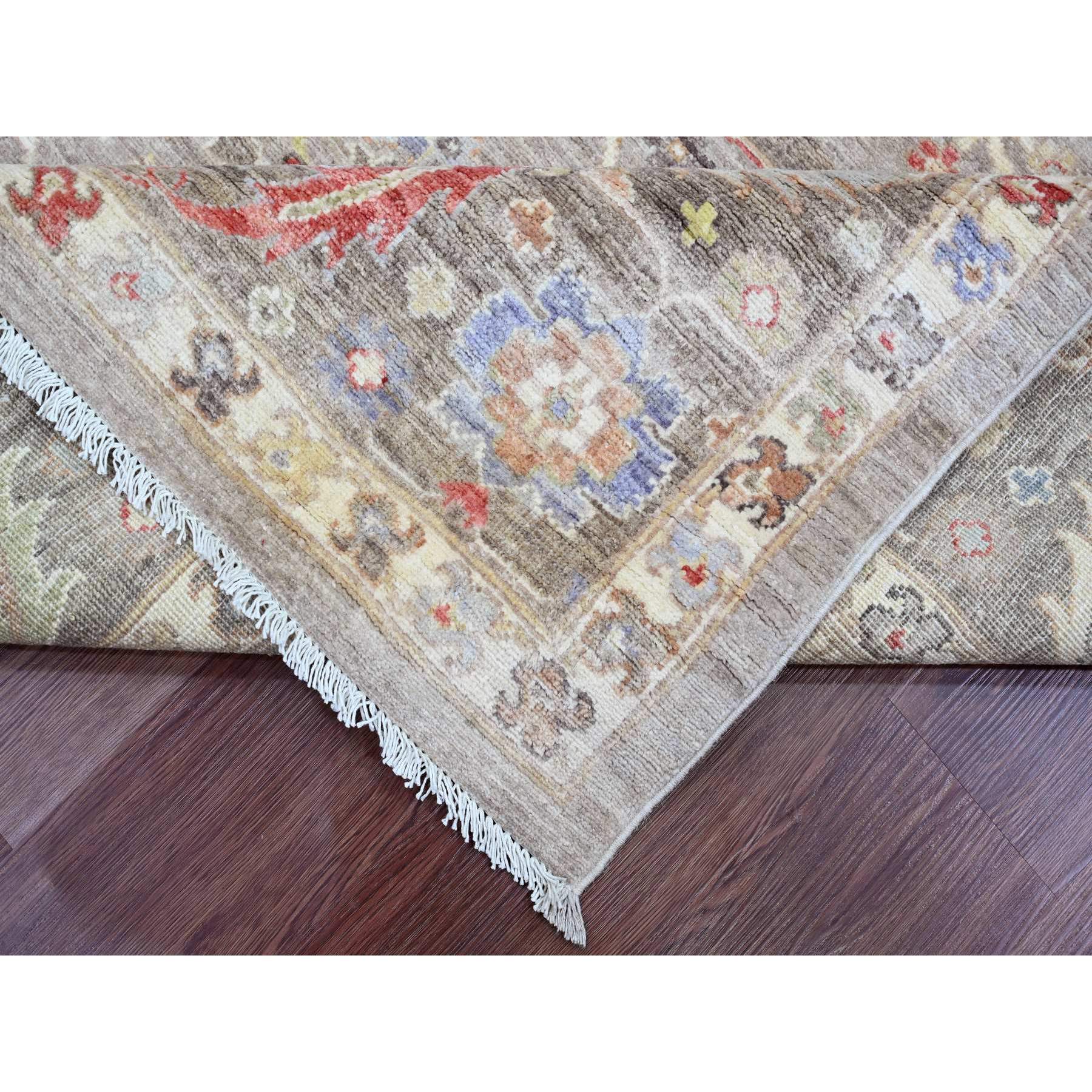 8'x9'9" Dark Vanilla Brown, Peshawar with Heriz All Over Design, High Mountain Wool, Hand Knotted, Natural Dyes, Densely Woven, Oriental Rug Sh20253