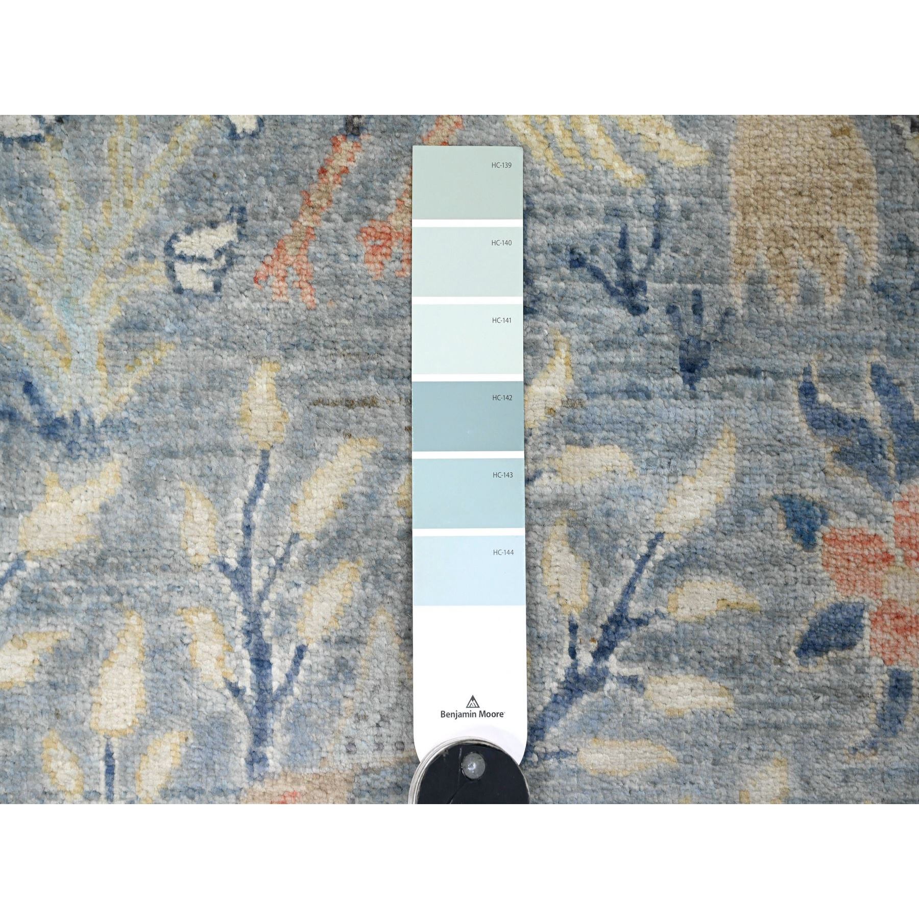 2'6"x25'4" Baby Blue, Afghan Peshawar with Birds of Paradise Design, Soft Wool, Vegetable Dyes, Hand Knotted, XL Runner, Oriental Rug Sh20616