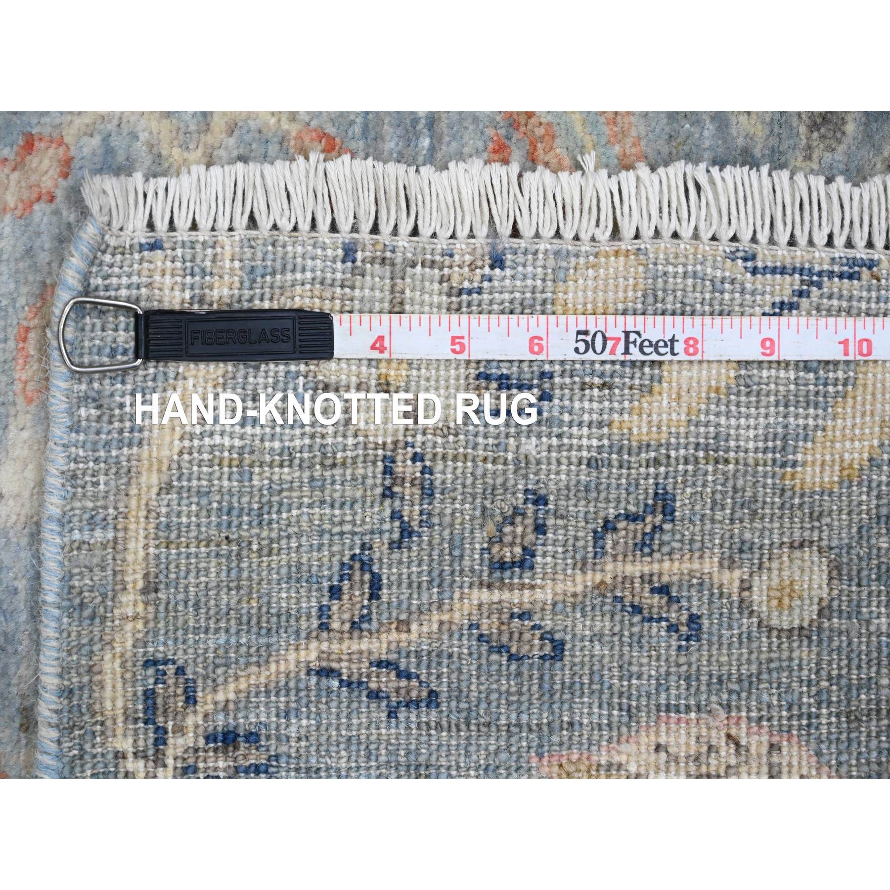 2'6"x25'4" Baby Blue, Afghan Peshawar with Birds of Paradise Design, Soft Wool, Vegetable Dyes, Hand Knotted, XL Runner, Oriental Rug Sh20616