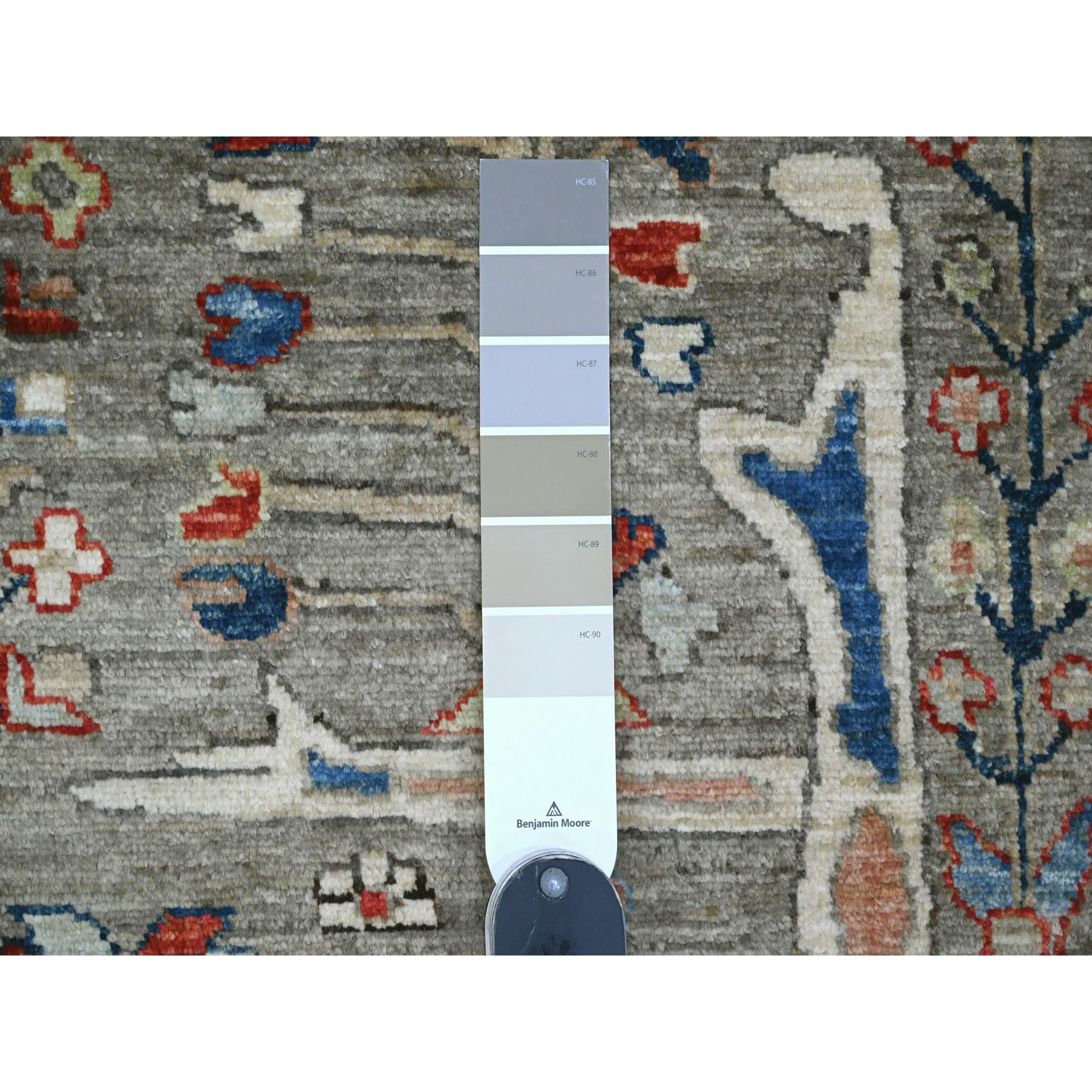 9'x11'9" Taupe Brown, Peshawar with Bijar Garus Design, High Mountain Wool, Hand Knotted, Vegetable Dyes, Densely Woven, Oriental Rug Sh20623