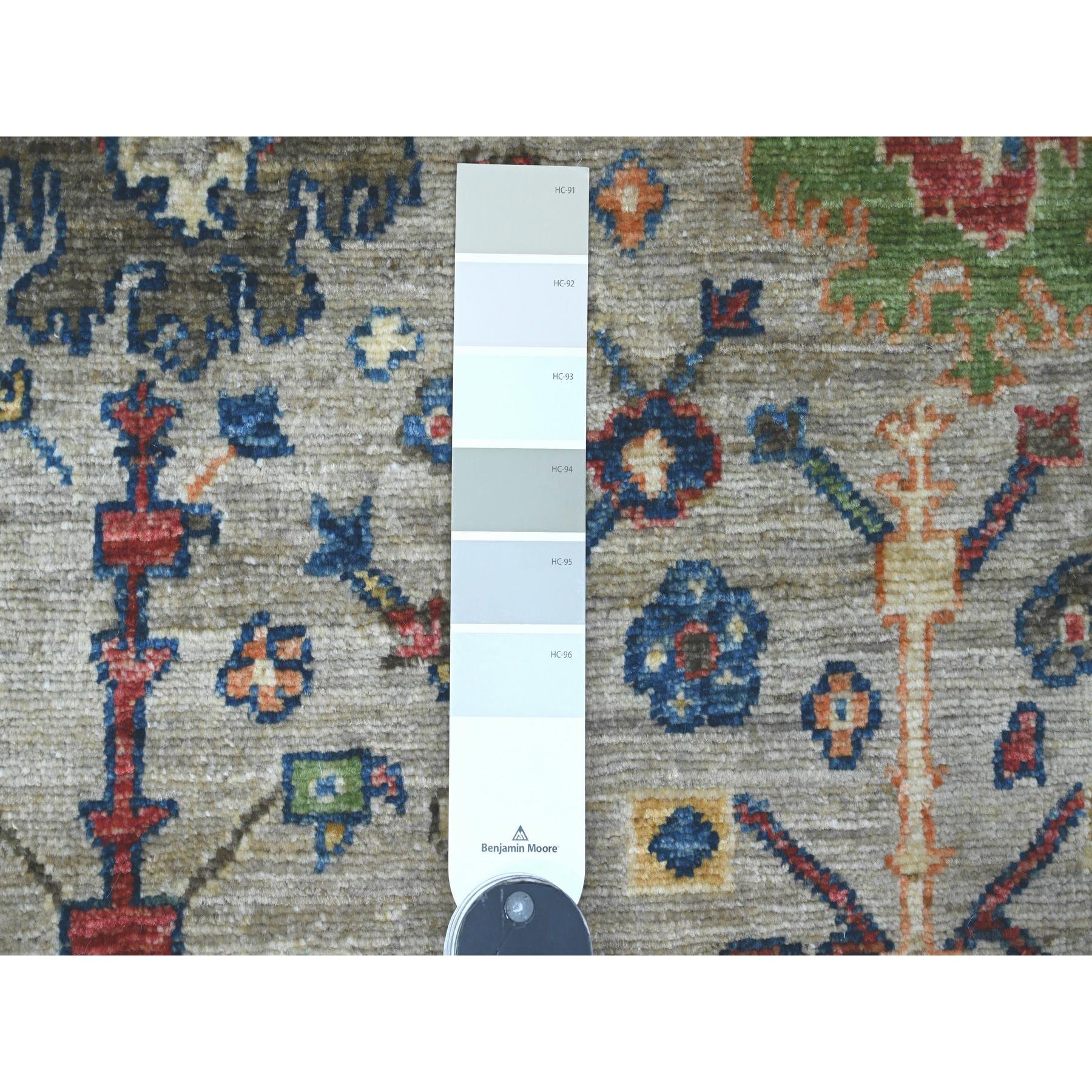 3'1"x5' Oyster Gray, Peshawar with Colorful Ziegler Mahal Design, Aryana Collection, High Mountain Wool, Denser Weave, Hand Knotted, Vegetable Dyes, Oriental Rug Sh20628