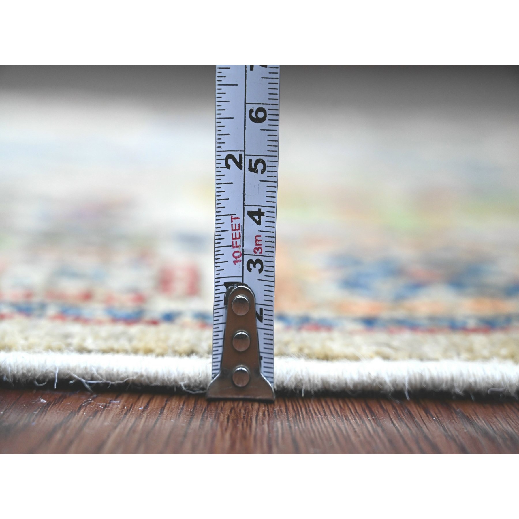 3'1"x5' Oyster Gray, Peshawar with Colorful Ziegler Mahal Design, Aryana Collection, High Mountain Wool, Denser Weave, Hand Knotted, Vegetable Dyes, Oriental Rug Sh20628