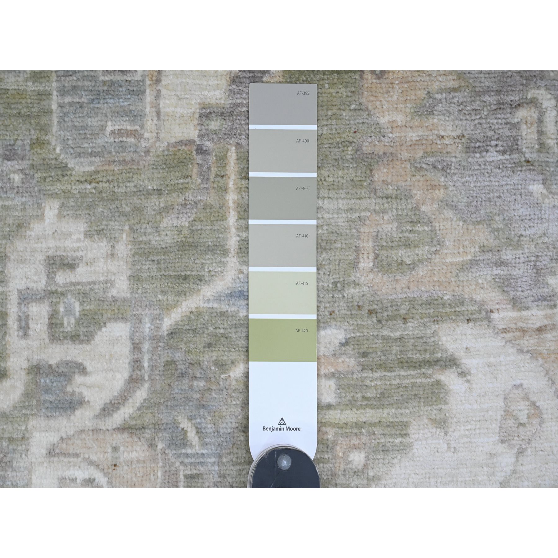 8'x9'8" Camouflage Green, Antiqued Peshawar with Ziegler Mahal Design, 100% Wool, Hand Knotted, Densely Woven, Oriental Rug Sh20896