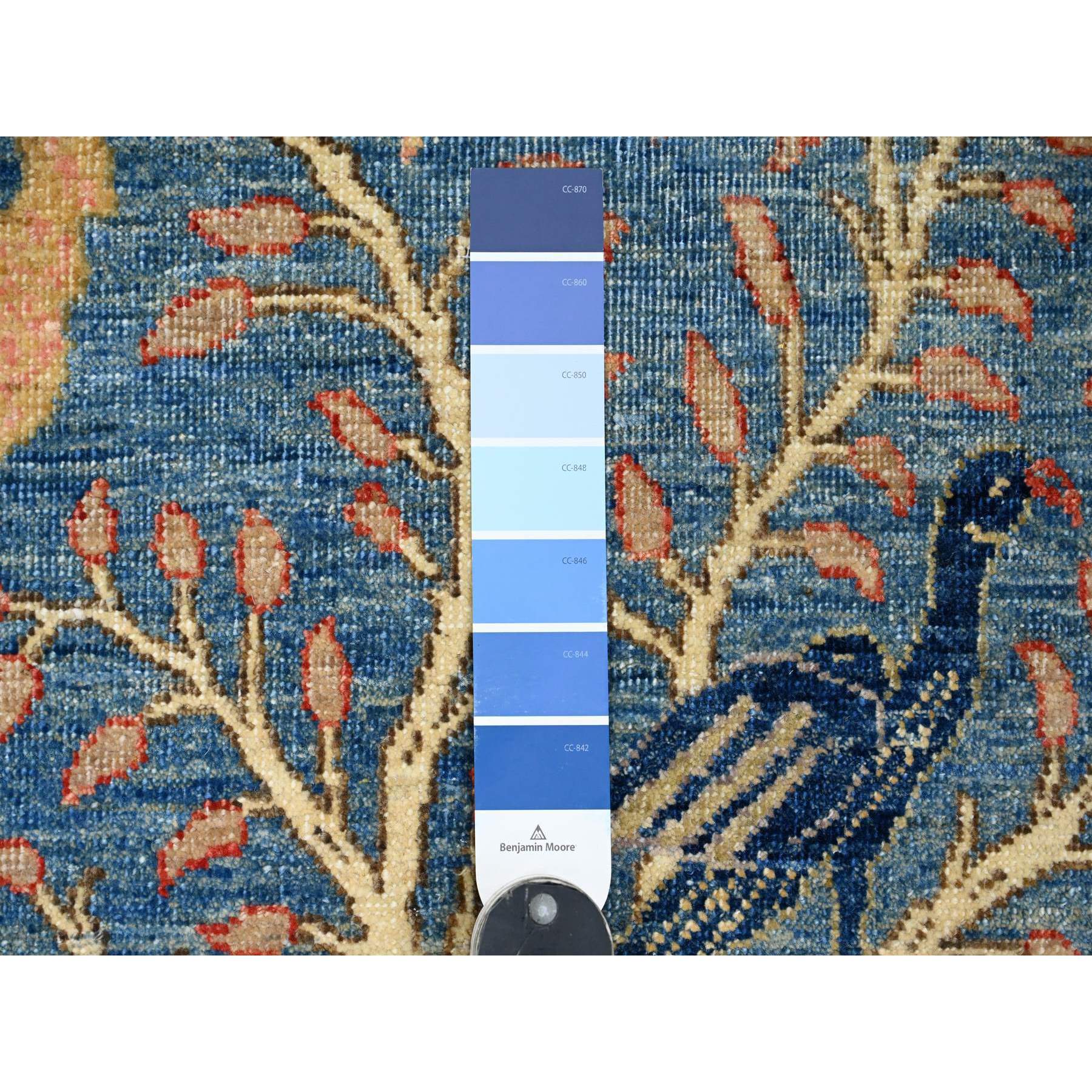 2'9"x23'4" Carolina Blue, Hand Knotted, Afghan Peshawar with Birds of Paradise Design, Veggie Dyes, Soft and Velvety Wool, XL Runner, Oriental Rug Sh20965