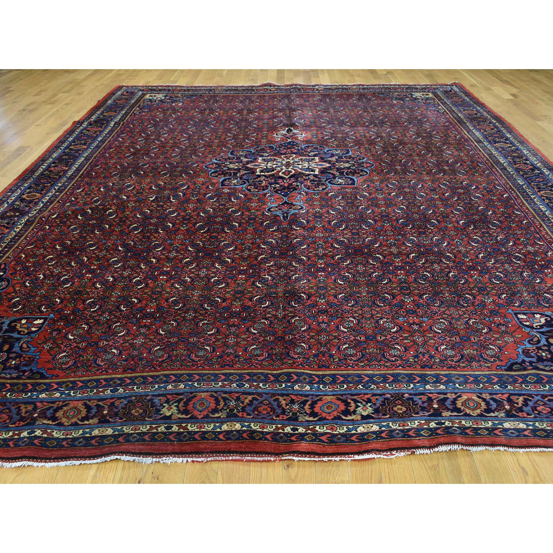 10-5 x13-9  Antique Persian Bijar Exc Cond Hand-Knotted Oriental Rug 