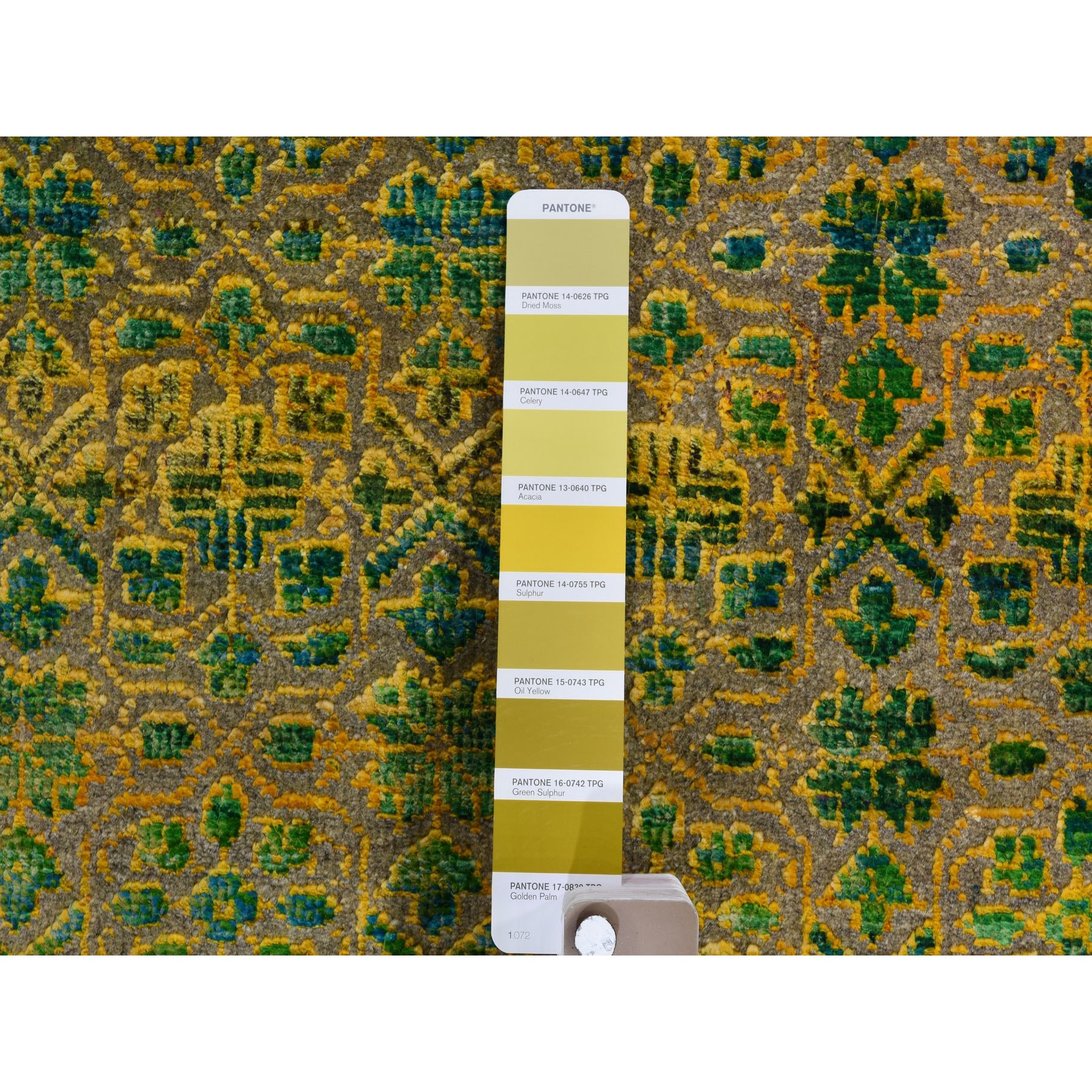 10-x14- Colorful Grass Design Sari Silk Textured Wool Modern Hand Knotted Oriental Rug 