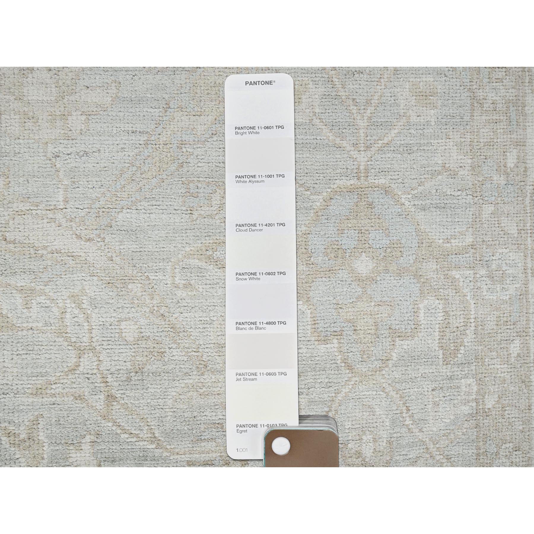 8'2"x9'6" Cloud Gray, White Wash Peshawar with All Over Vines Design, 100% Wool, Hand Knotted, Densely Woven, Oriental Rug Sh919