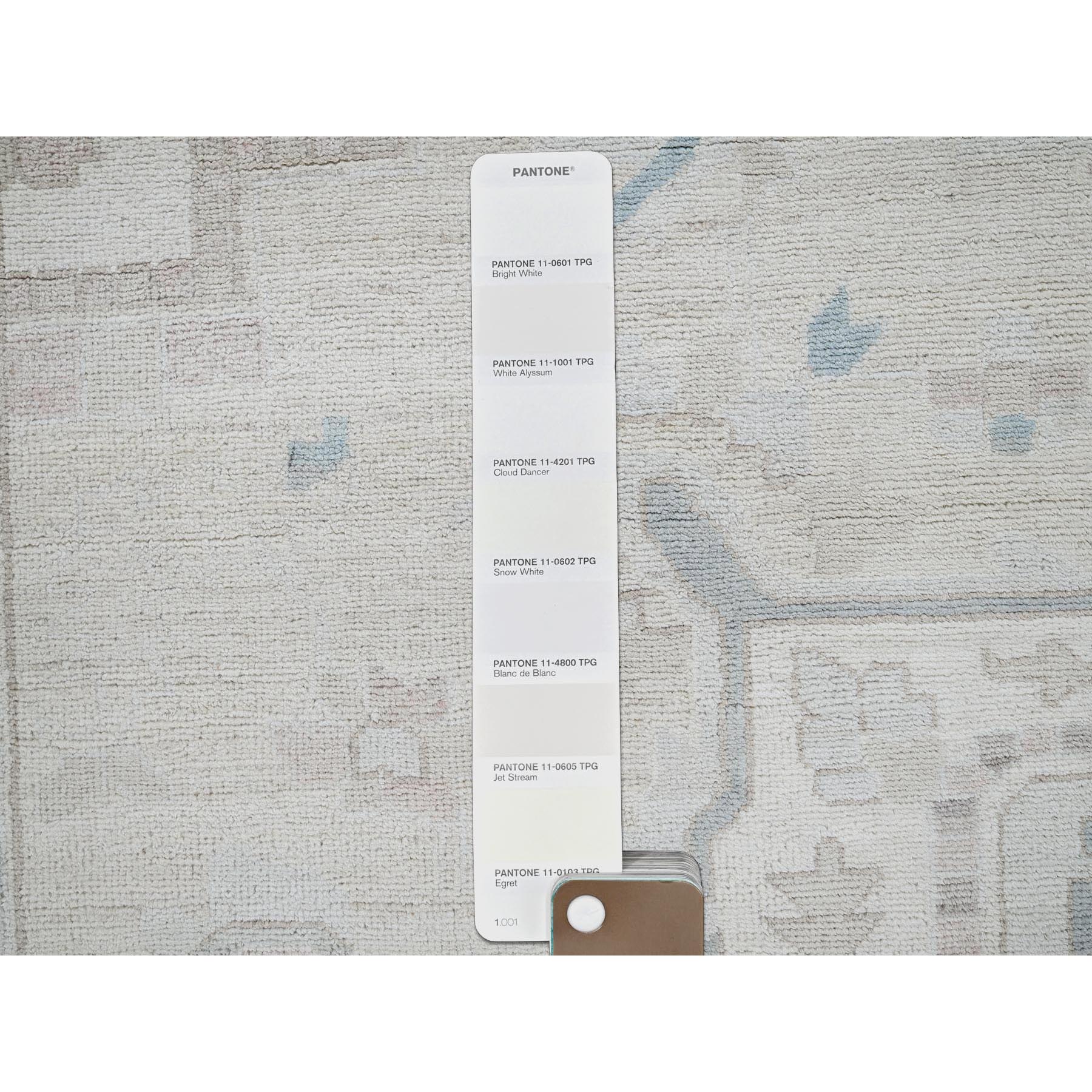 10'x13'7" Chiffon White, White Wash Peshawar with Heriz Design, Hand Knotted, Pure Wool, Densely Woven, Oriental Rug Sh920