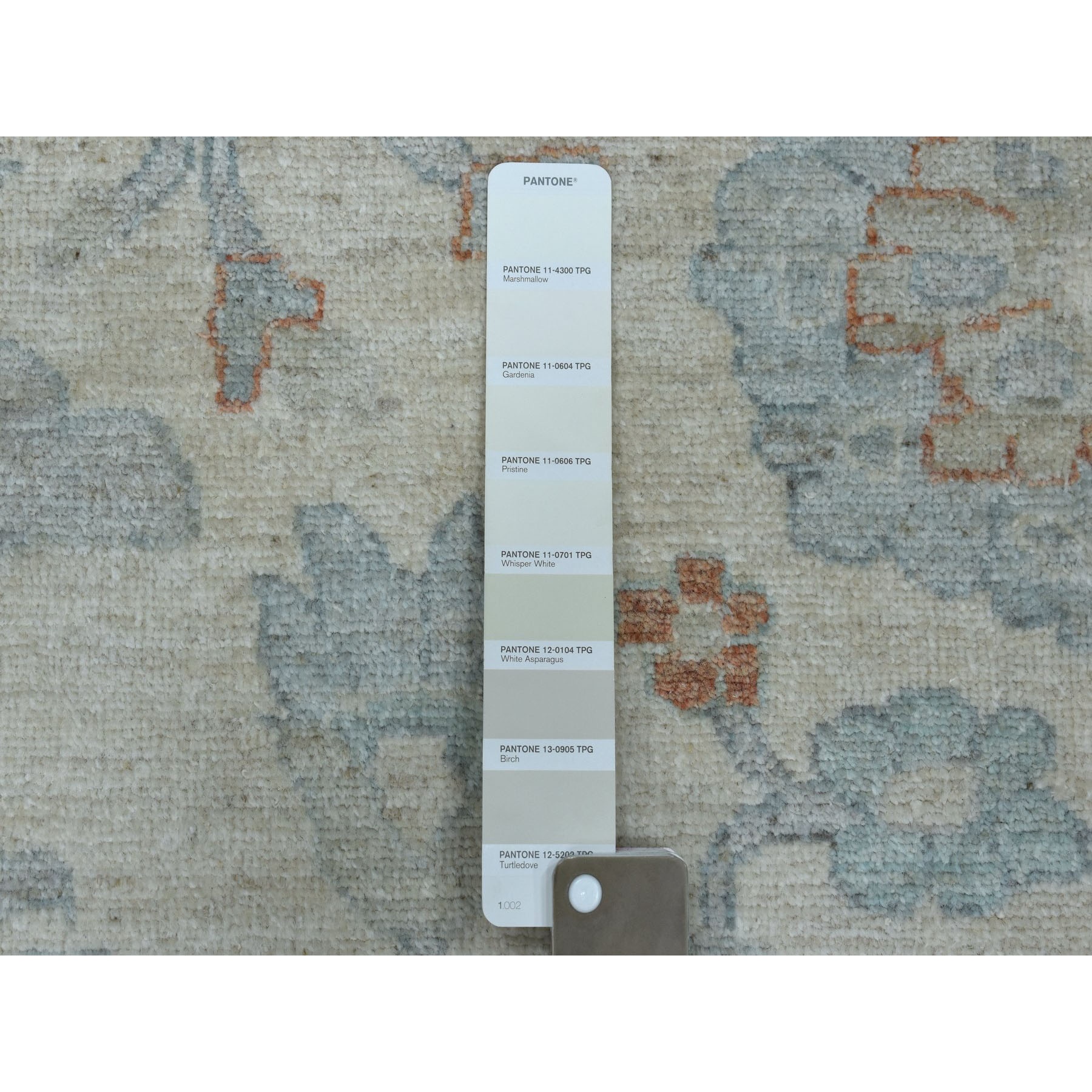 10'x14' White Wash Peshawar Pure Wool Hand Knotted Oriental Rug