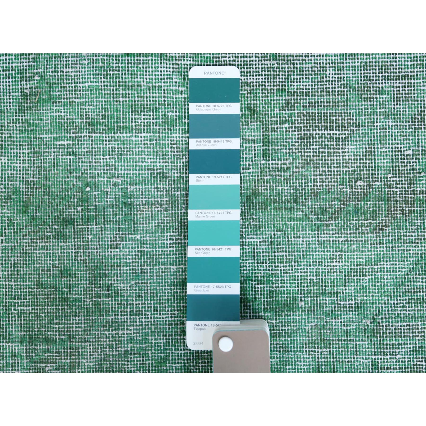 9'7"x12'5" Hand Knotted Shades of Light Green Overdyed Clean Distressed Vintage Persian Kerman Organic Wool Oriental Rug Sh60305