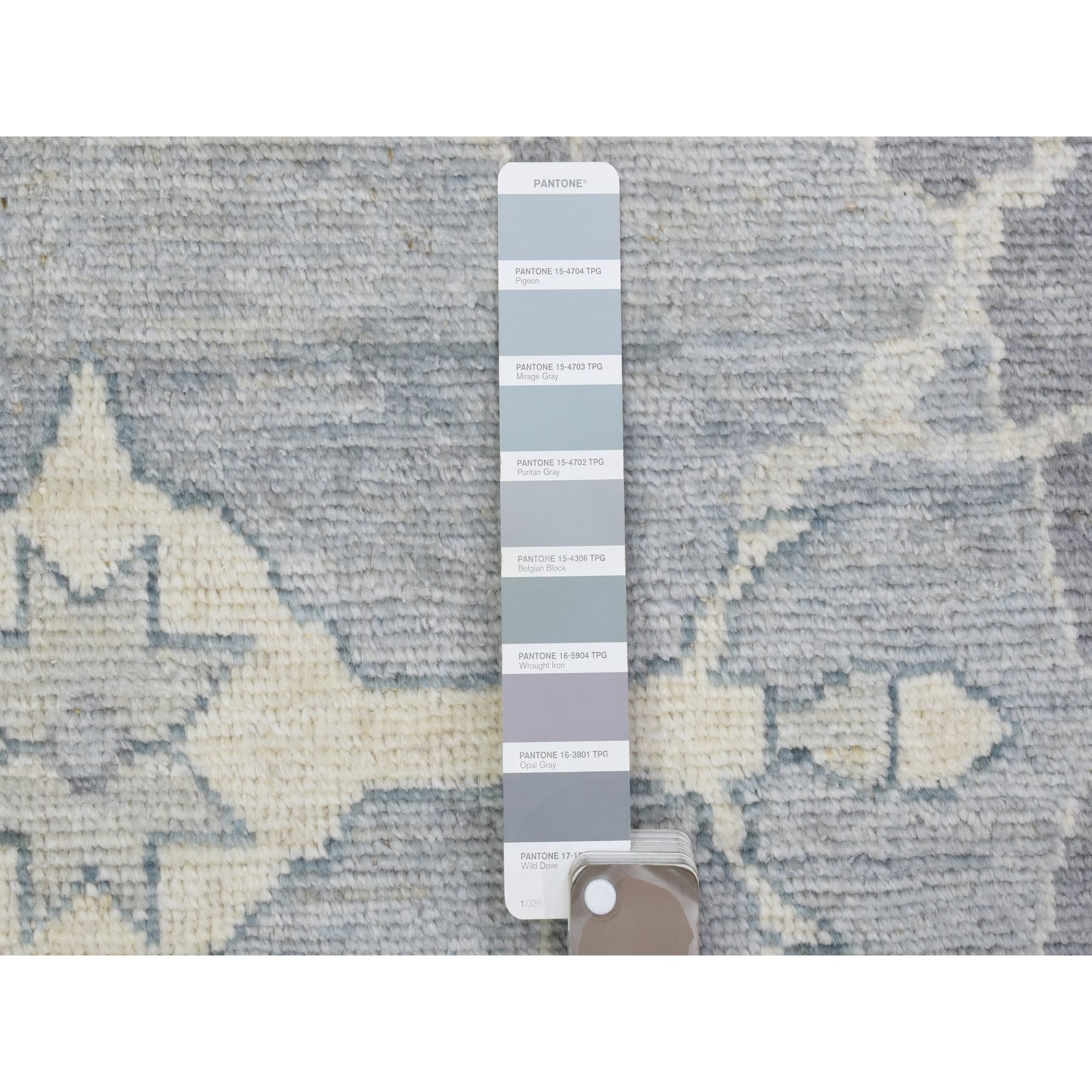 transitional Wool Hand-Knotted Area Rug 10'2