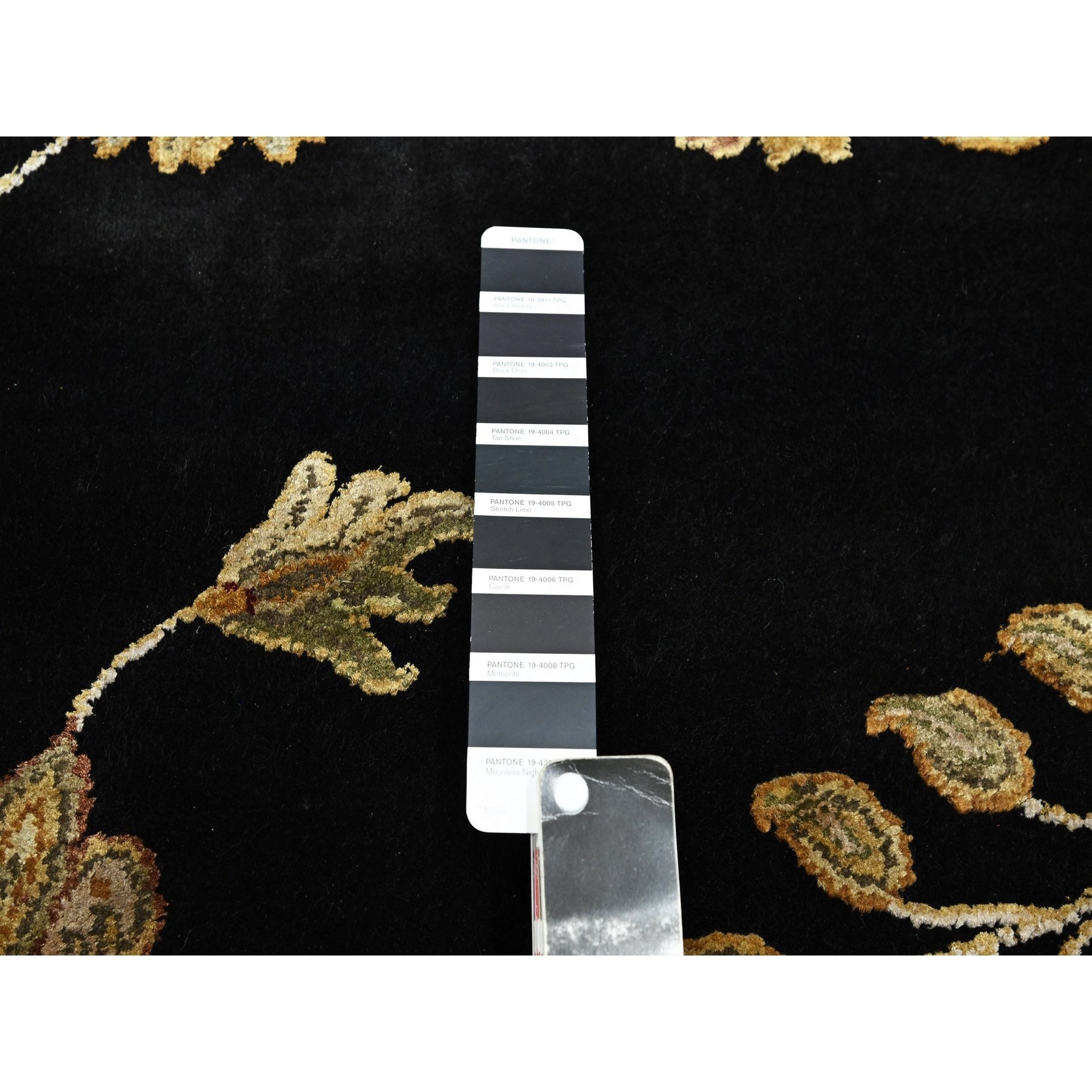 8'2'x10' Onyx Black, Borderless Botanical Design, Half Wool and Half Silk, Densely Woven, Soft Pile, Hand Knotted, Oriental Rug Sh75580