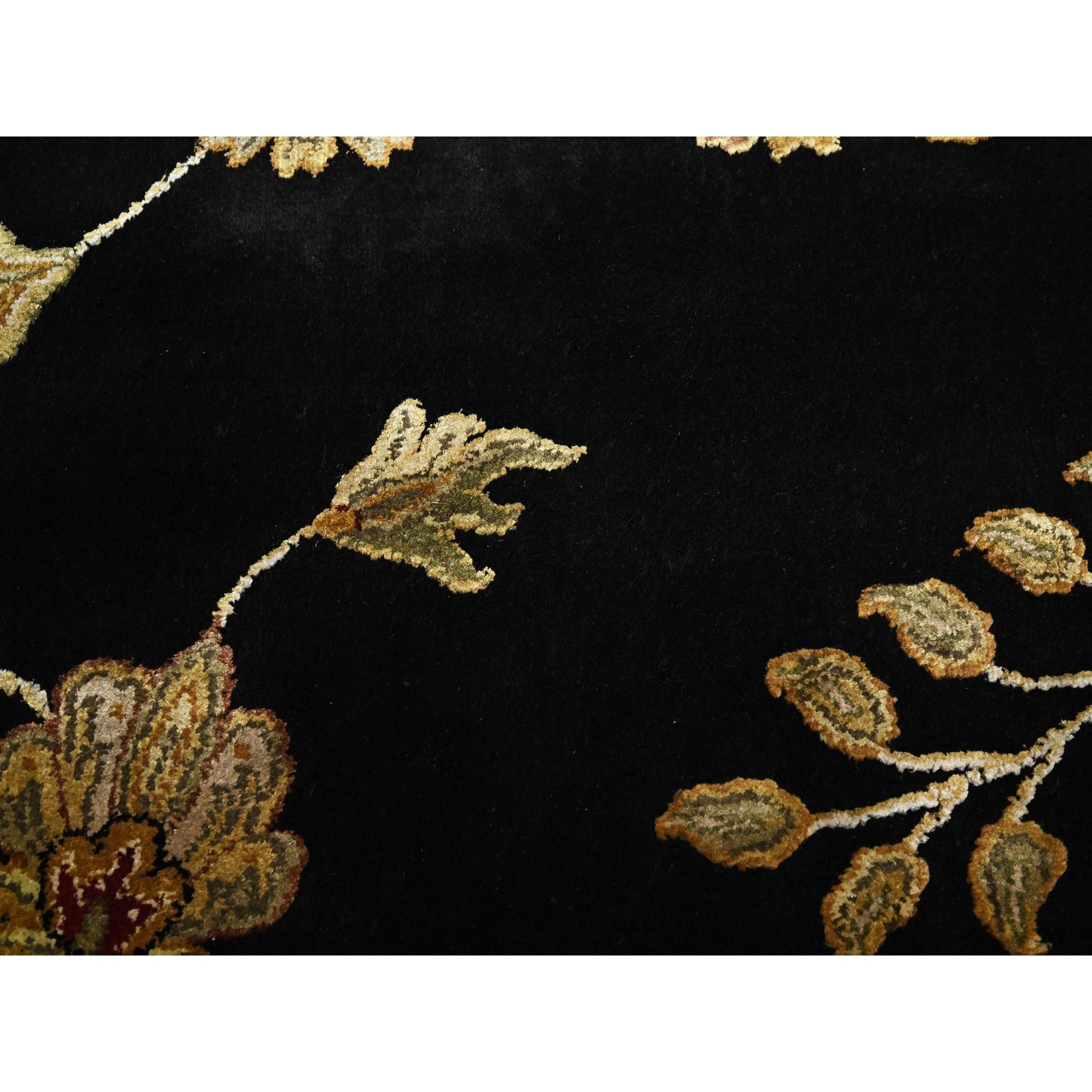 8'2'x10' Onyx Black, Borderless Botanical Design, Half Wool and Half Silk, Densely Woven, Soft Pile, Hand Knotted, Oriental Rug Sh75580