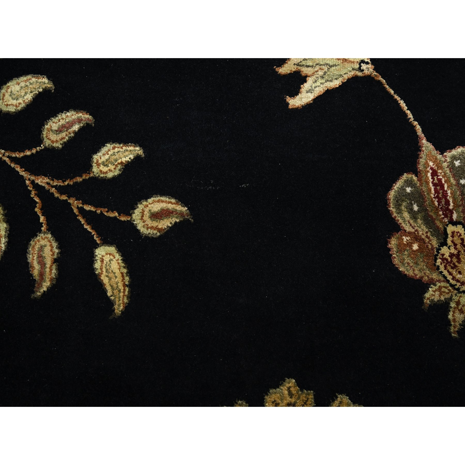9'2"x11'8" Caviar Black, Half Wool and Half Silk, Borderless Botanical Design, Densely Woven, Soft Pile, Hand Knotted, Oriental Rug Sh75593