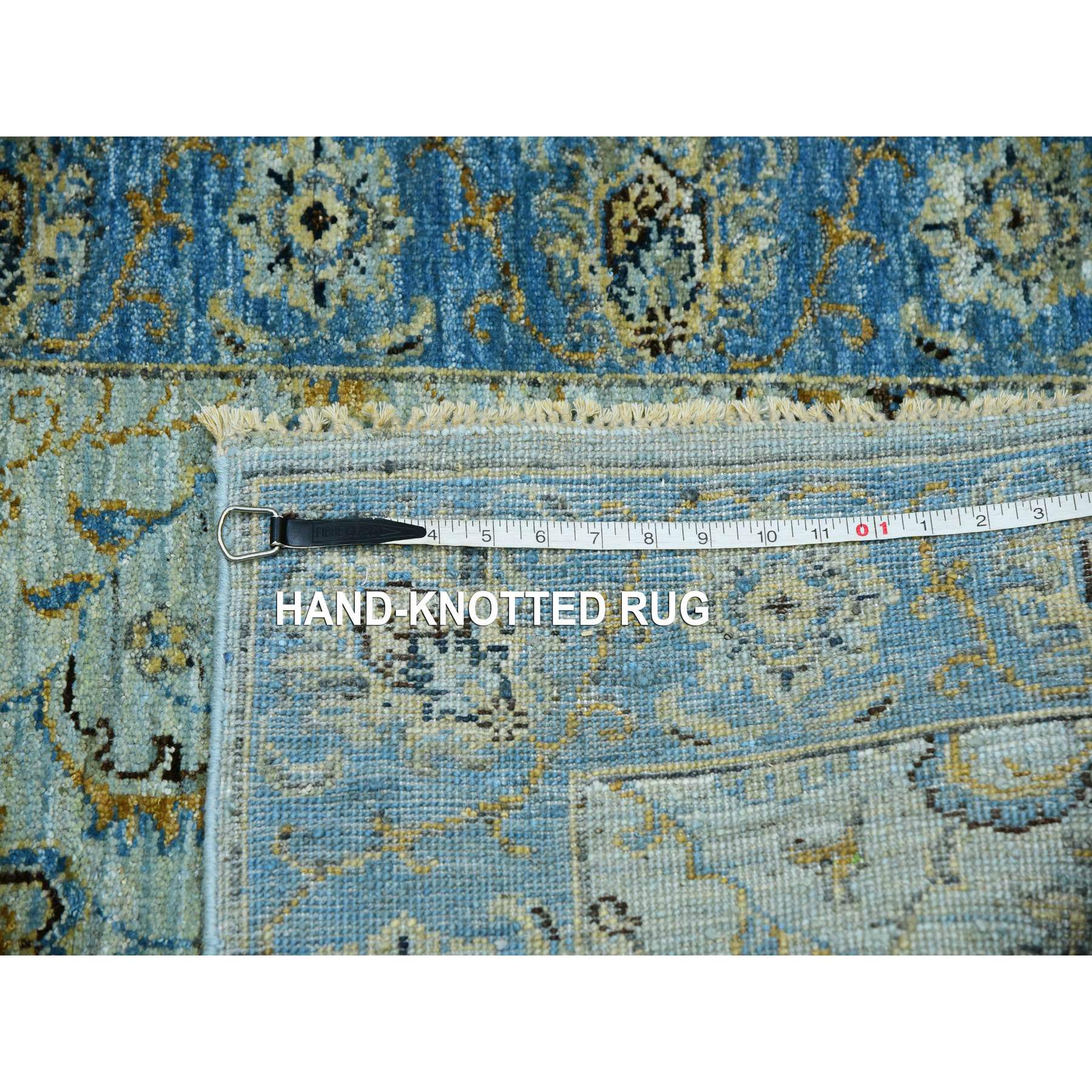 2'9"x16'1" Cruise With True Blue Border, 100% Wool, Hand Knotted, Natural Dyes Denser Weave, Agra, Shah Abbas XL Runner With Floral Pattern, Oriental Rug Sh76051