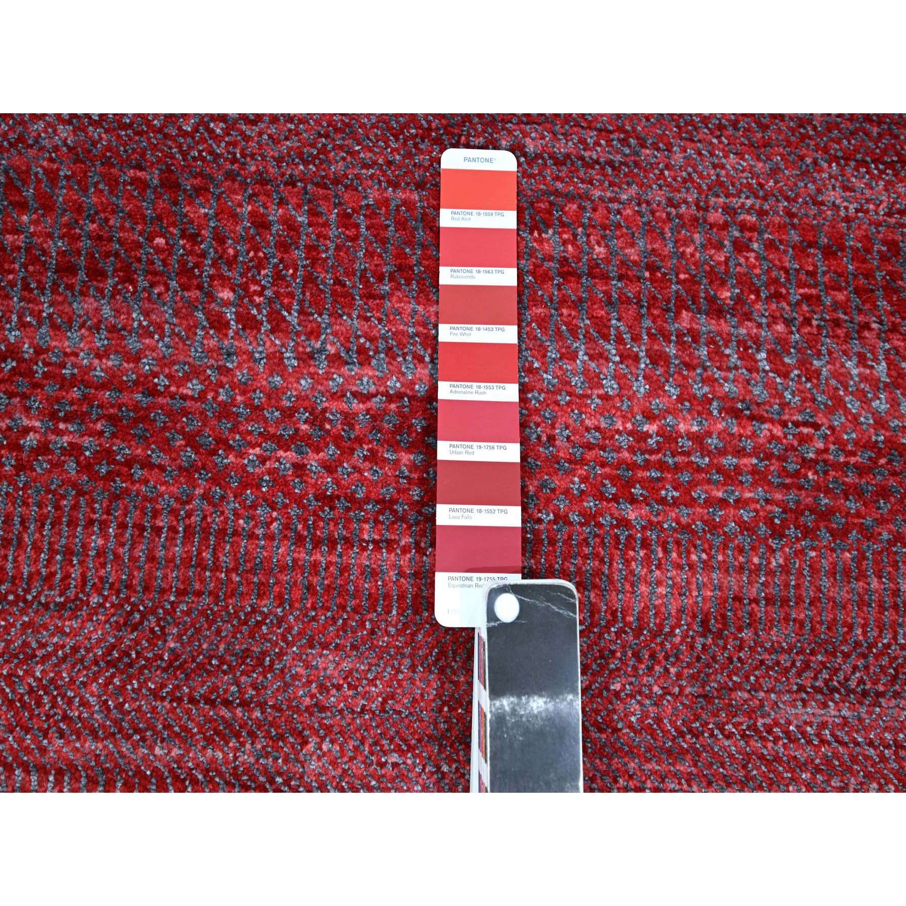 2'6"x16'3" Angels Red, Modern Grass Design, Hand Knotted, Borderless, Denser Weave, Lush and Plush, Tone on Tone, Wool and Silk, XL Runner, Oriental Rug Sh76320
