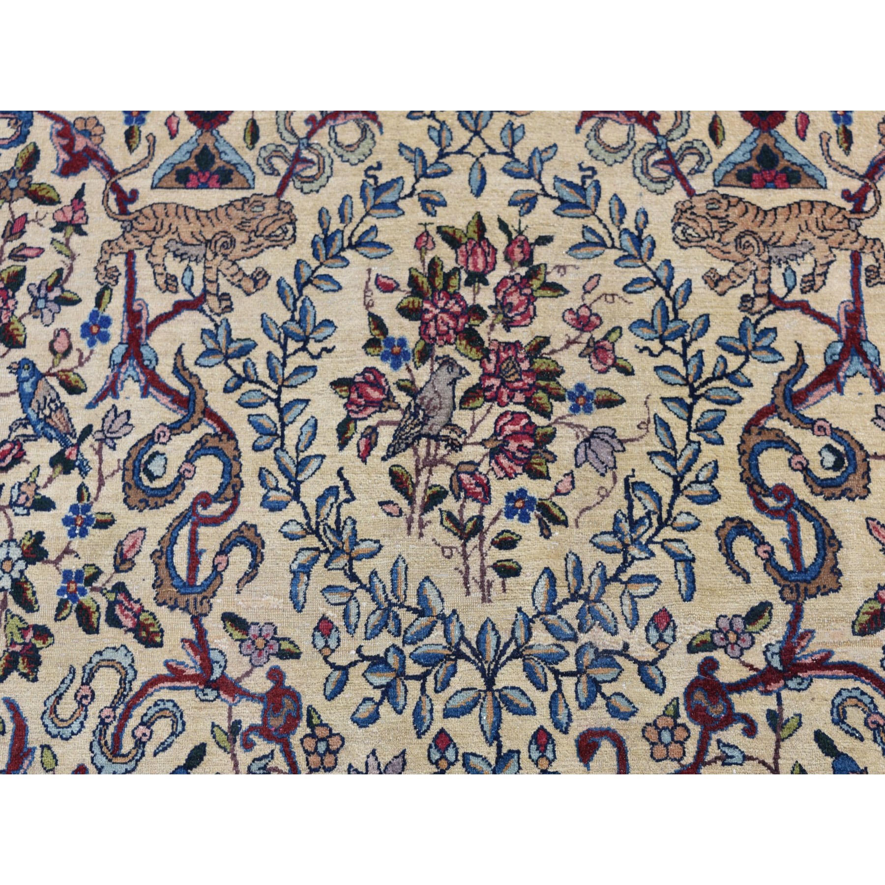 13'5"x19'8" Alabaster White, Antique Persian Kerman with Poetry and Animal Figurines, Birds and Tigers, Hand Knotted, Pure Wool, Oversized Oriental Rug Sh78265