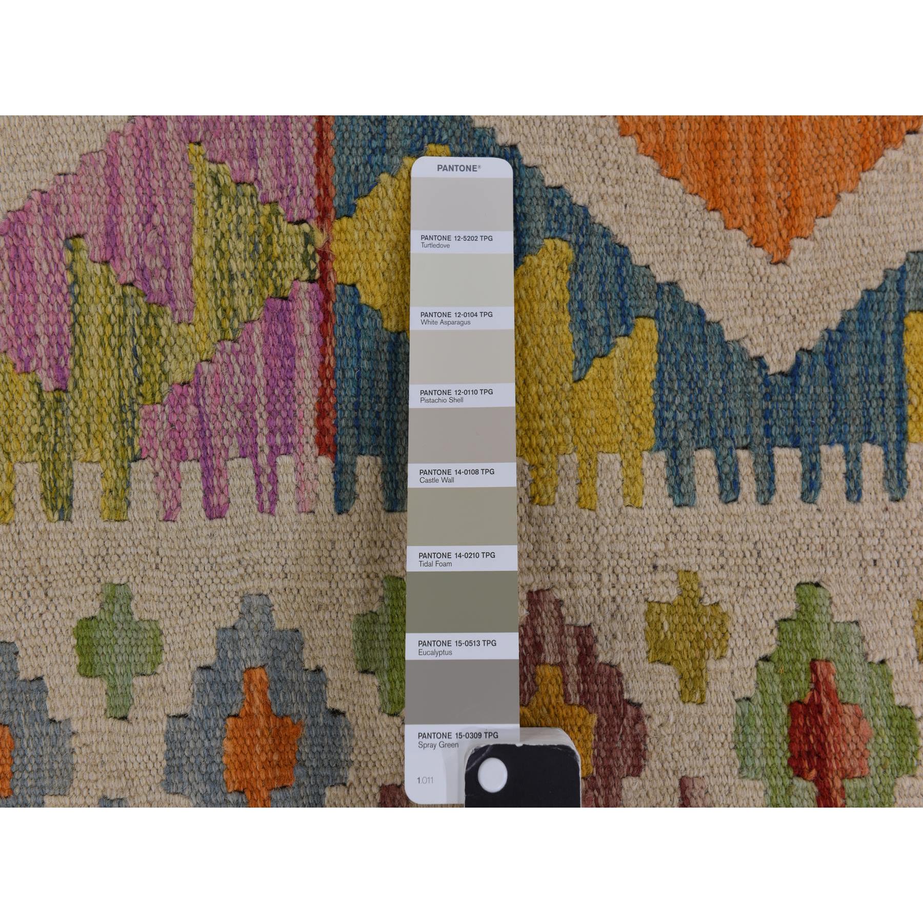 8'4"x10'10" Bone White, Afghan Kilim with All Over Colorful Geometric Pattern, 100% Wool, Natural Dyes, Flat Weave, Hand Woven, Reversible, Oriental Rug Sh78346