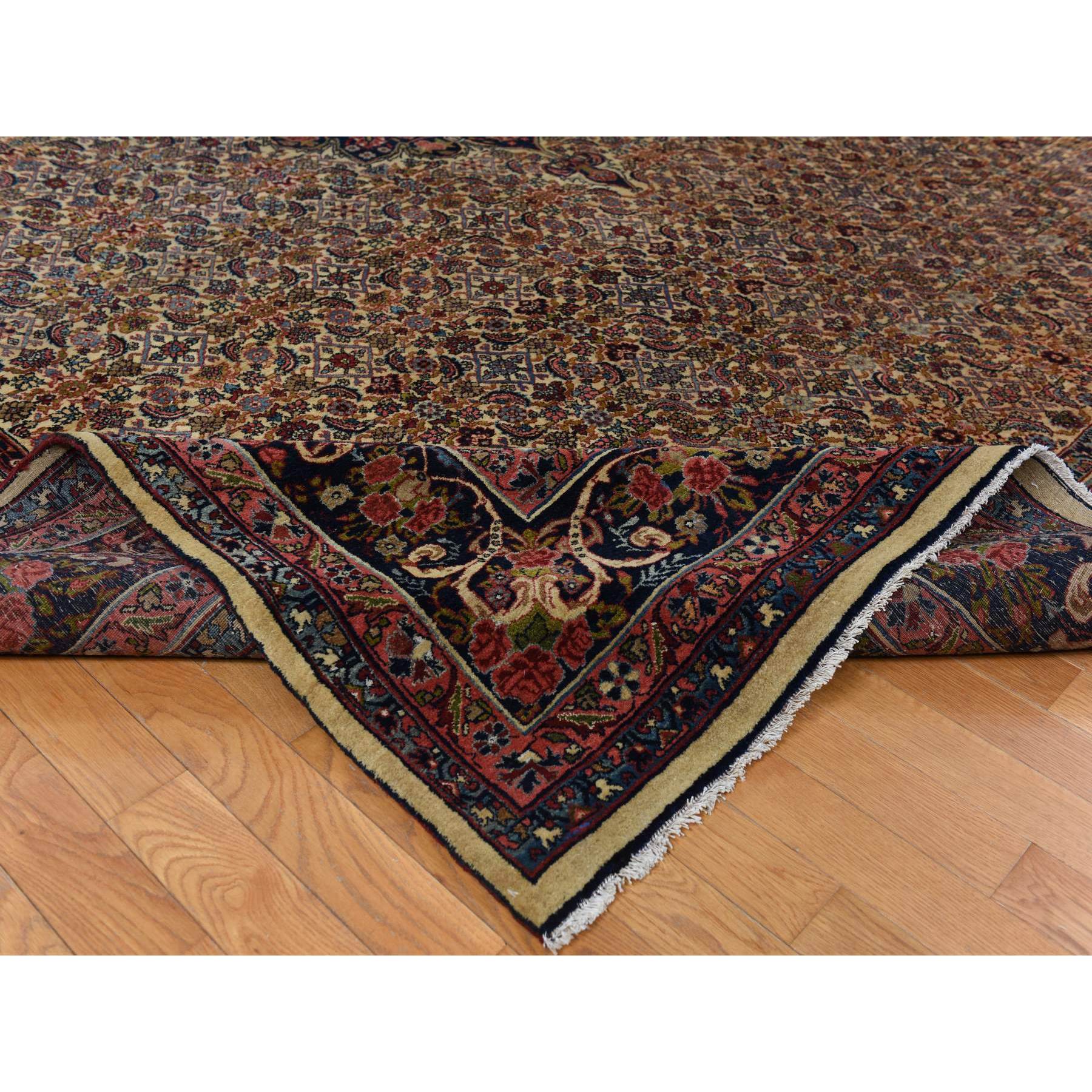 10'5"x13'8" Biscotti Yellow, Antique Persian Bidjar with Medallion Design, Nice Pile Throughout, Clean and Soft, 100% Wool, Hand Knotted, Oriental Rug Sh78373