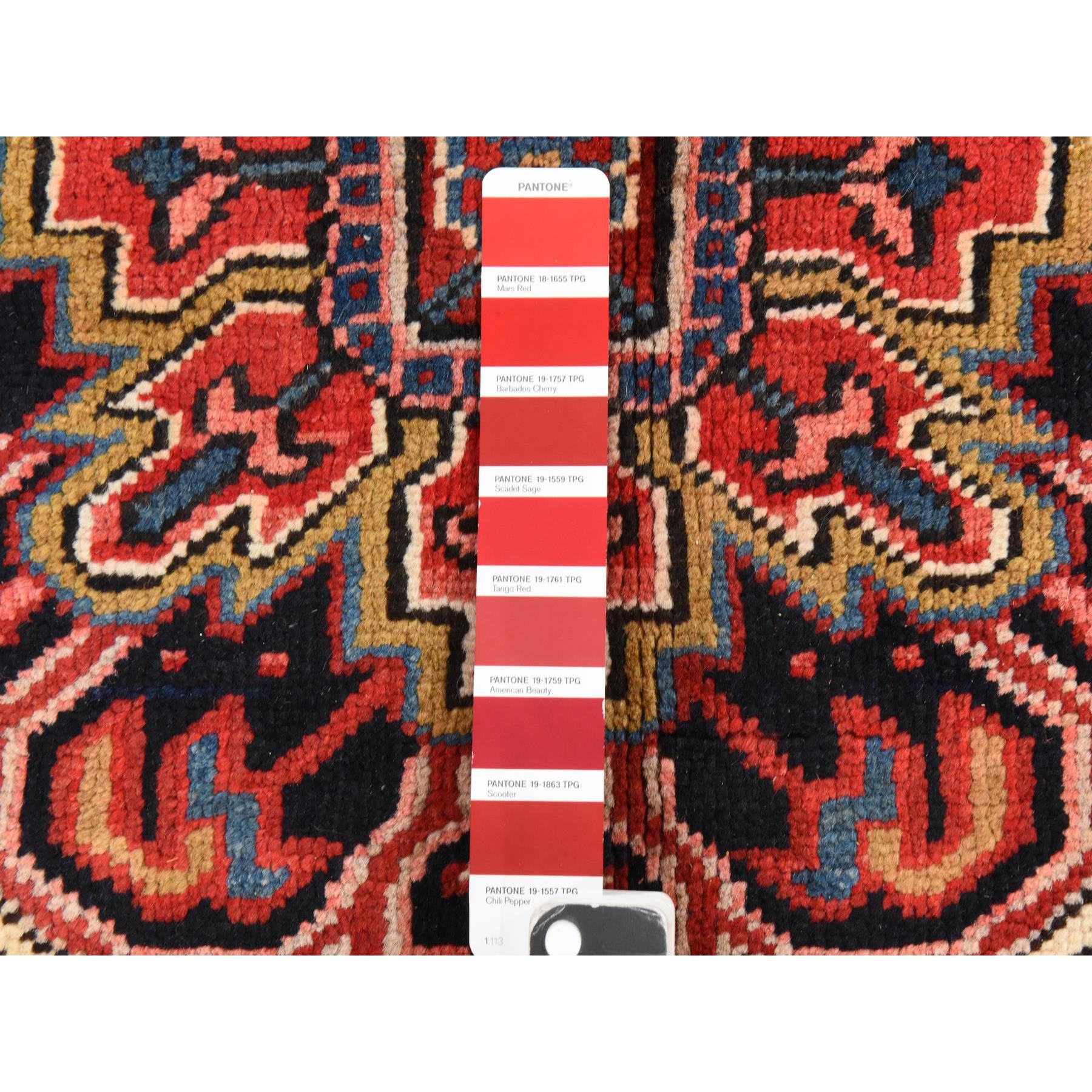 10'1"x18'1" Chili Red, Vintage Persian Heriz, Long and Narrow, Odd and Rare Size, Clean, Soft, Full Pile, 100% Wool, Hand Knotted, Oriental Rug Sh78419