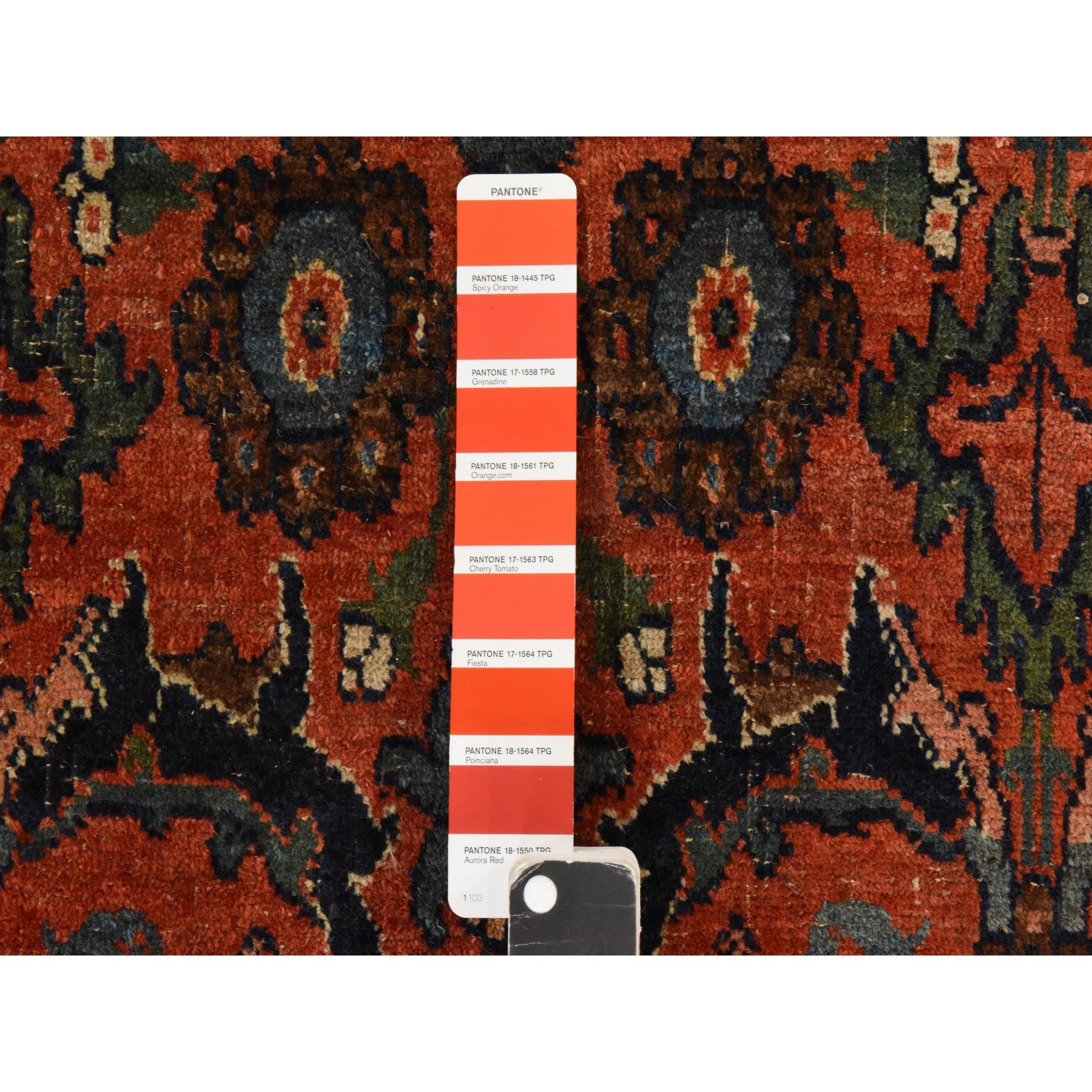 9'3"x14'10" Cinnamon Red, Antique Persian Bidjar, Smaller and Larger Rosette Tribal Flower Design, Good Condition, Evenly Worn, Low Pile, 100% Wool, Hand Knotted, Oriental Rug Sh78431