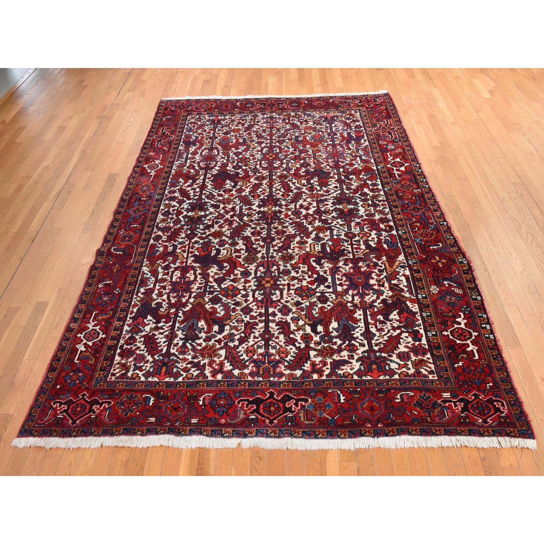 8'3"x11'1" Daisy White, Antique Persian Heriz, Good Condition, Clean, Full Pile, All Over Flower Geometric Design, 100% Wool, Hand Knotted, Oriental Rug Sh78433