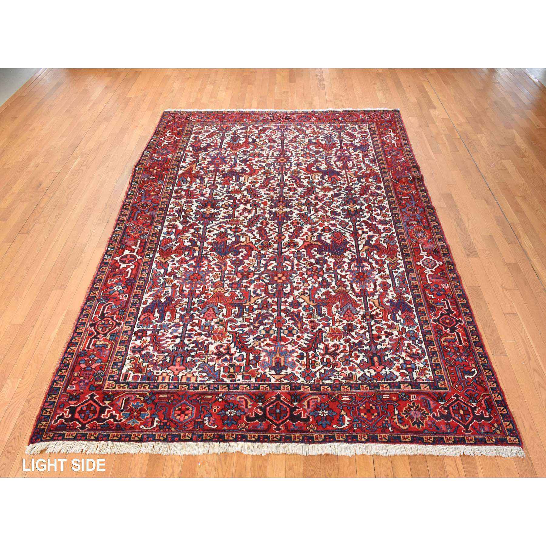 8'3"x11'1" Daisy White, Antique Persian Heriz, Good Condition, Clean, Full Pile, All Over Flower Geometric Design, 100% Wool, Hand Knotted, Oriental Rug Sh78433