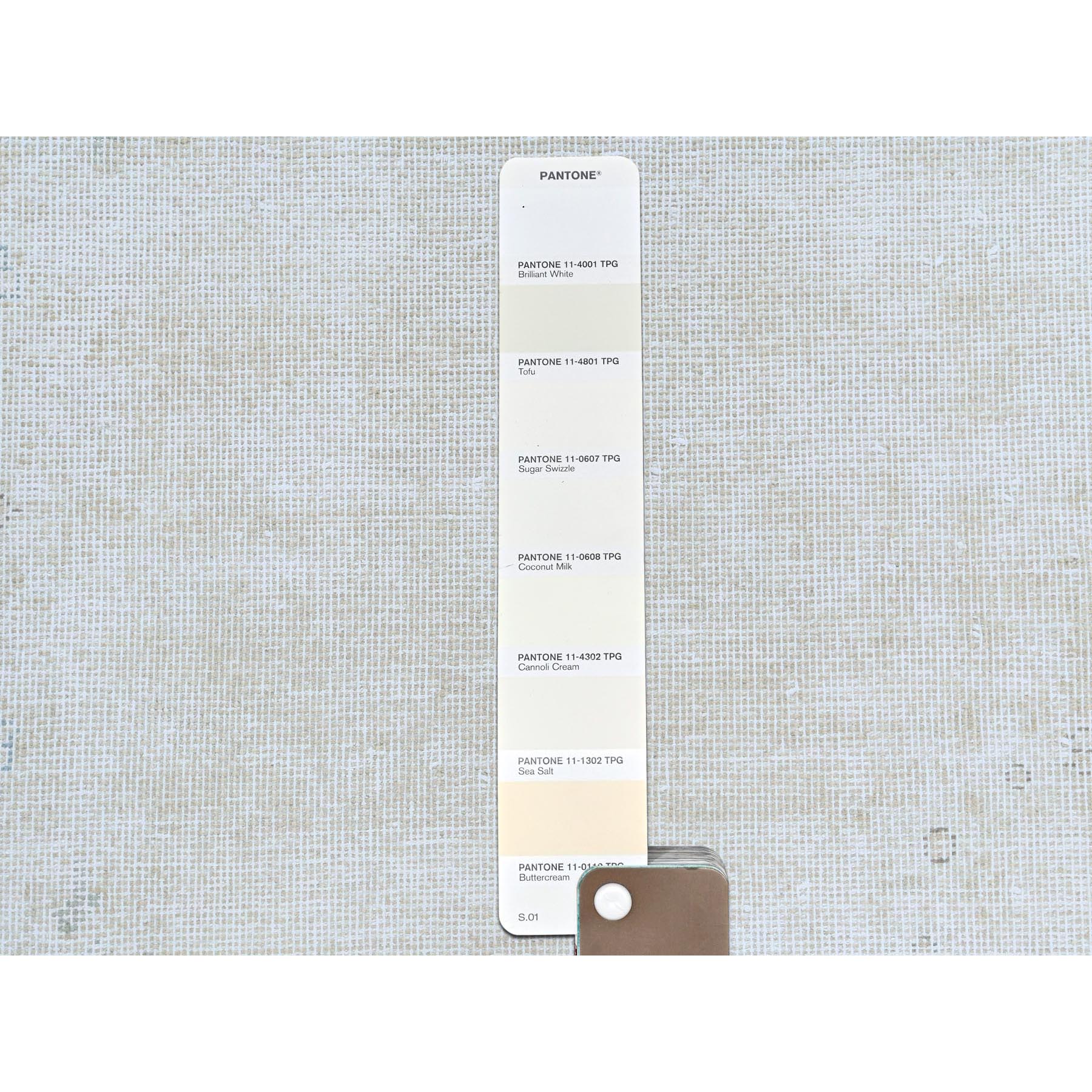 9'10"x13'7" Ivory Hand Knotted, Vintage Persian Kerman Sheared Low, Worn Wool, Shabby Chic, Distressed Look, Oriental Rug Sh81623