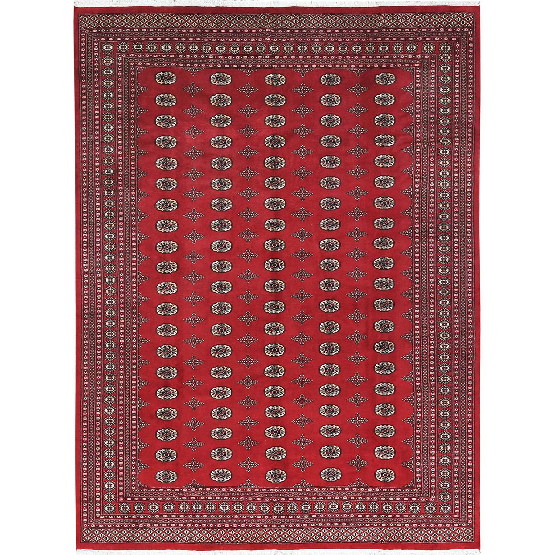 traditional Wool Hand-Knotted Area Rug 9'1