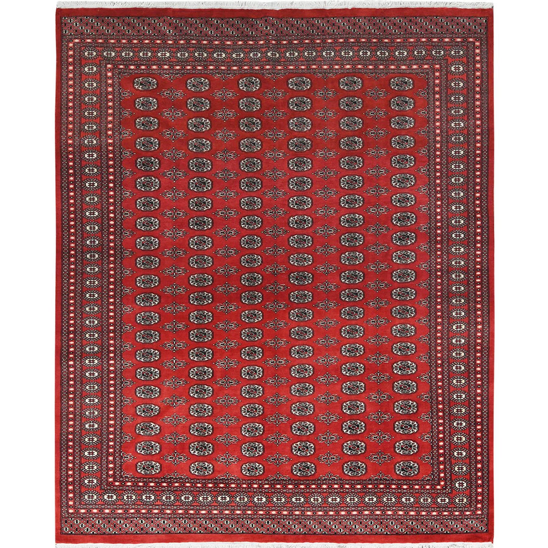 traditional Wool Hand-Knotted Area Rug 8'1