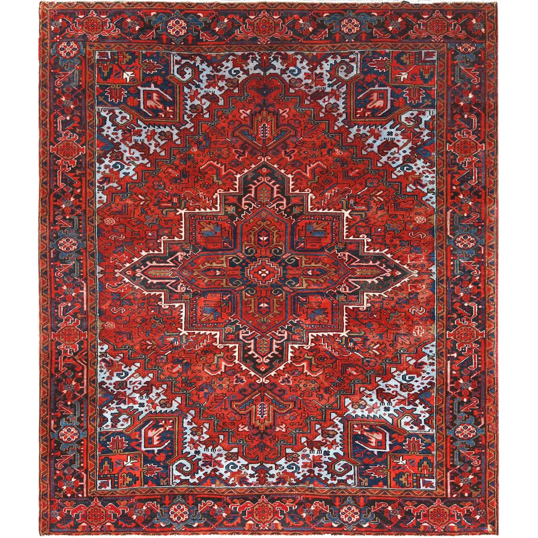  Wool Hand-Knotted Area Rug 7'8