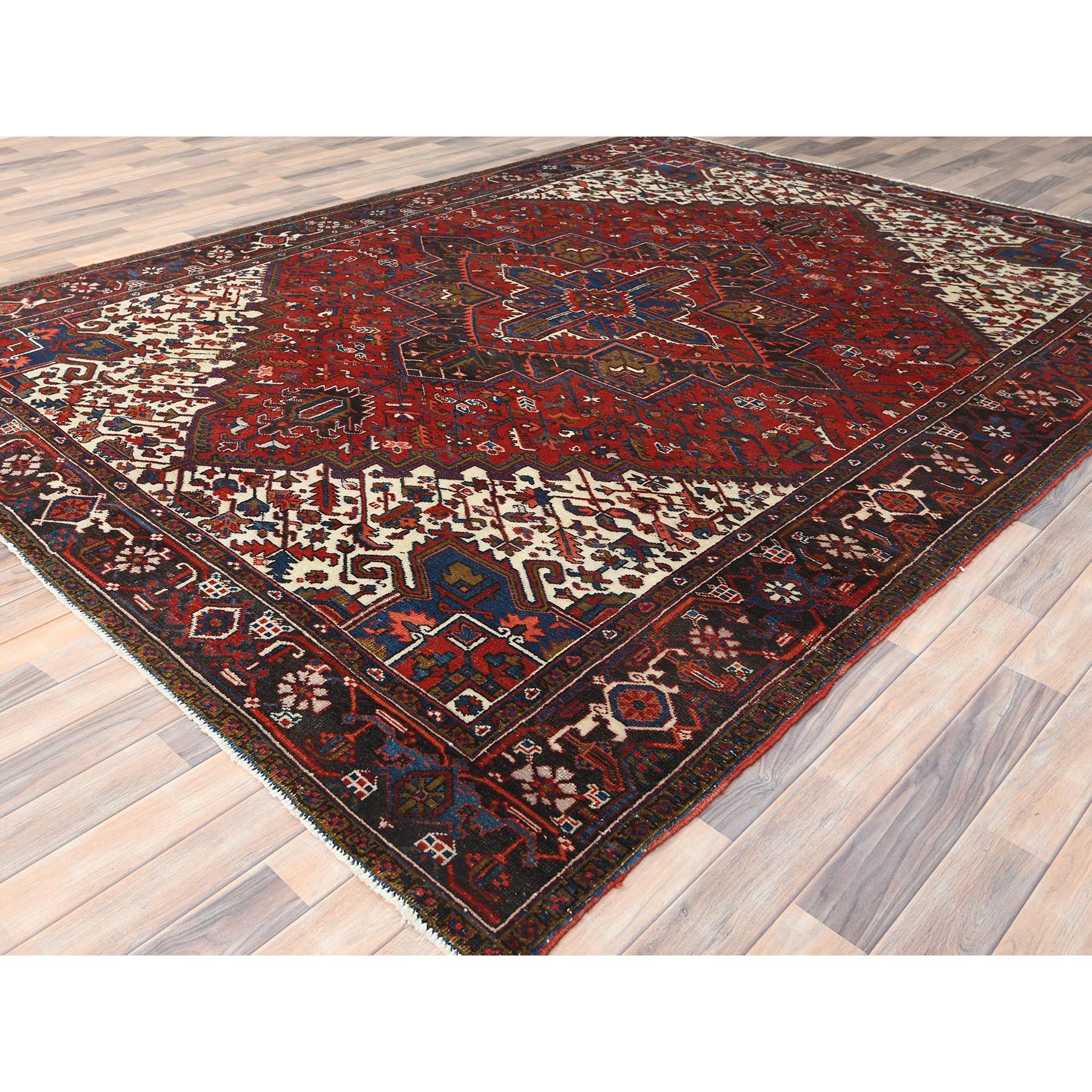  Wool Hand-Knotted Area Rug 8'3