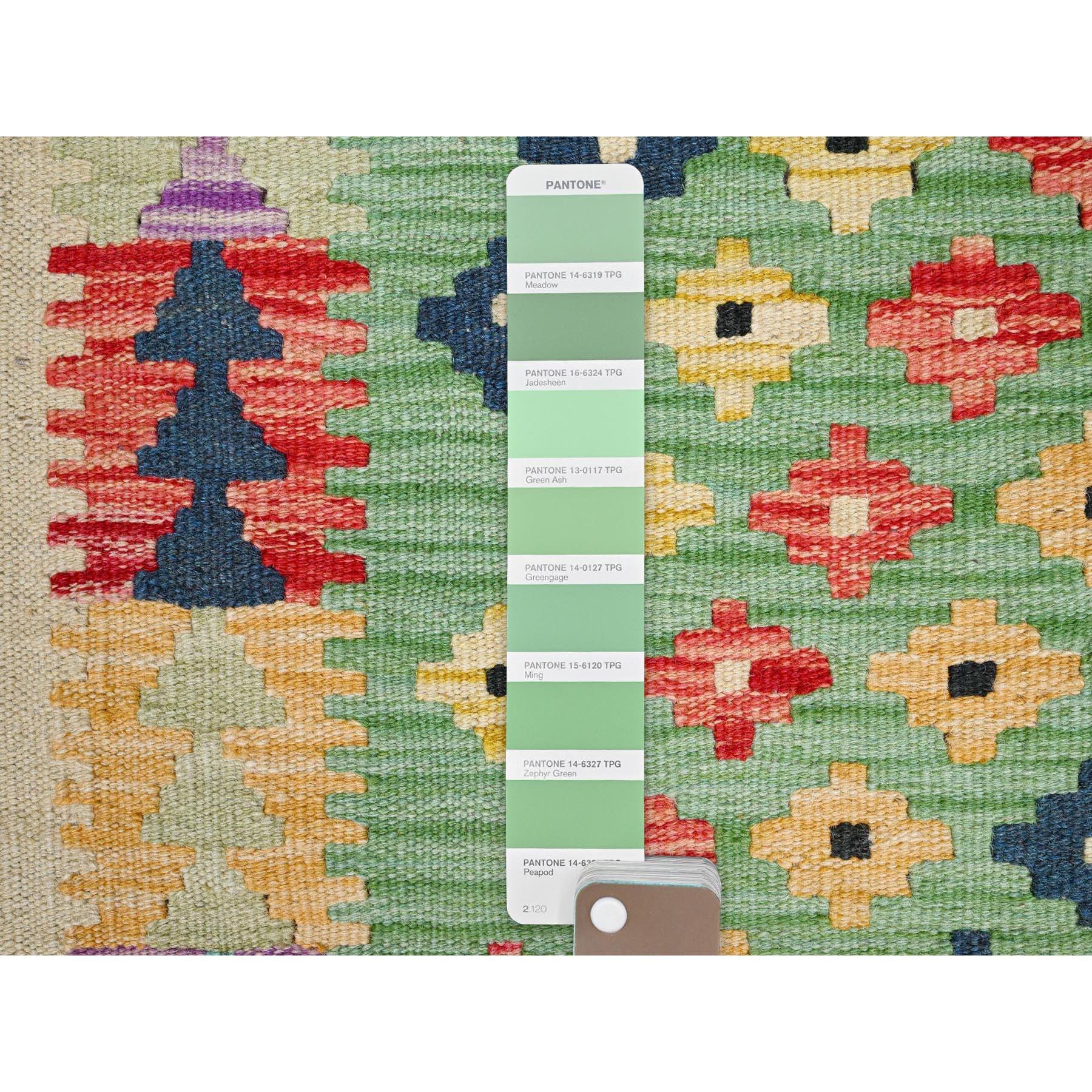 2'x3' Fern Green, Natural Dyes, Soft Wool, Reversible, Flat Weave, Afghan Kilim with Geometric Pattern, Hand Woven, Oriental Rug Sh85749