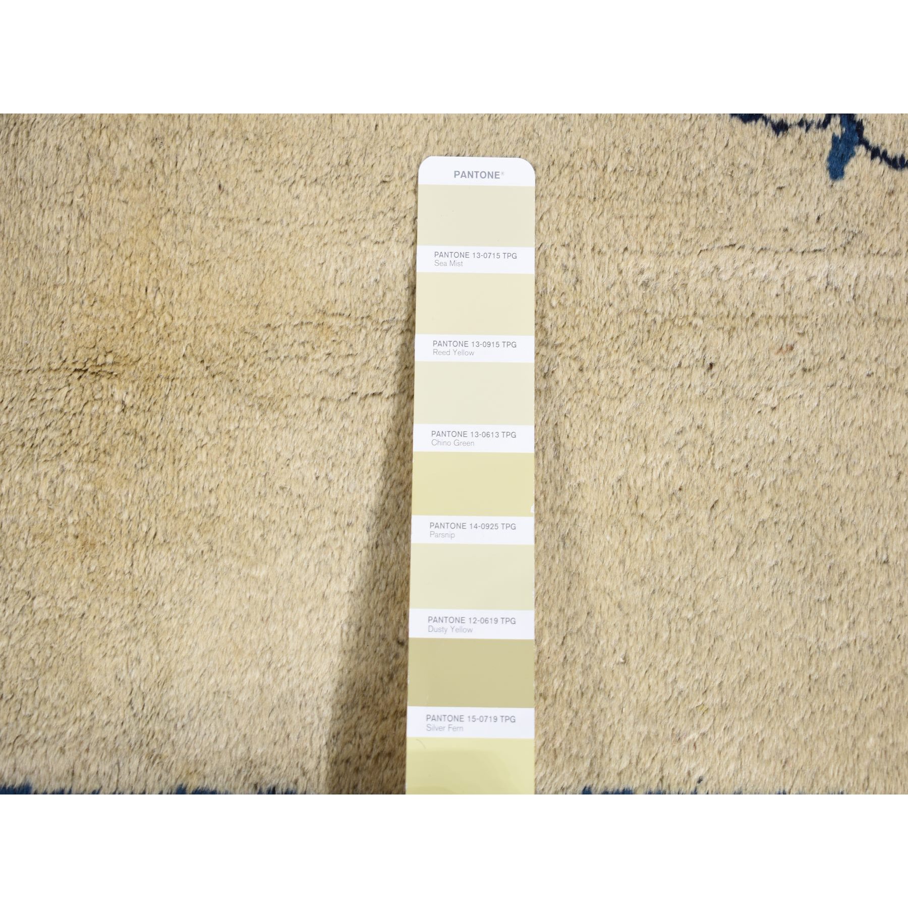 9'x14'2" Cream Color, Antique Chinese Peking with Butterflies, Hand Knotted, Full Pile, Pure Wool, Mint Condition, Clean and Soft, Long and Narrow, Oriental Rug Sh87402