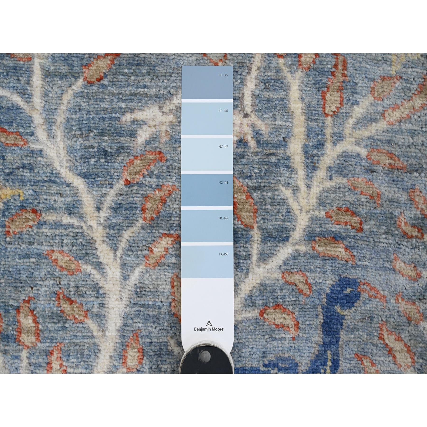2'6"x25'7" Carolina Blue, Afghan Peshawar with Birds of Paradise Design, Hand Knotted, Vegetable Dyes, Soft Wool, XL Runner, Oriental Rug Sh89823