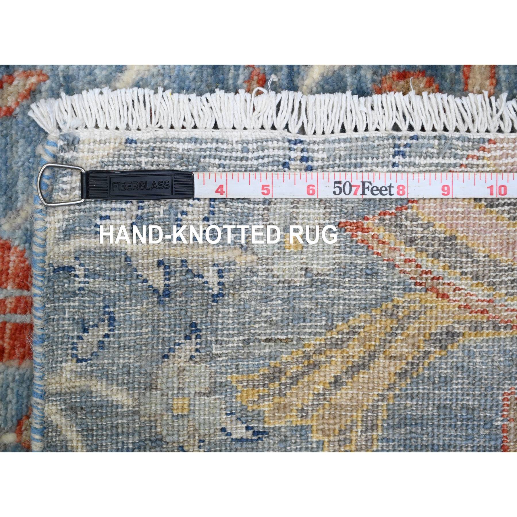 2'6"x25'7" Carolina Blue, Afghan Peshawar with Birds of Paradise Design, Hand Knotted, Vegetable Dyes, Soft Wool, XL Runner, Oriental Rug Sh89823
