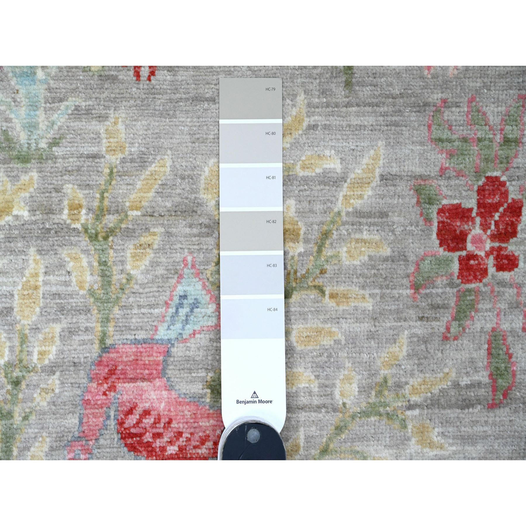 3'x24' Cloud Gray, Hand Knotted, Afghan Peshawar with Birds of Paradise Design, Soft Wool, Vegetable Dyes, XL Runner, Oriental Rug Sh89841