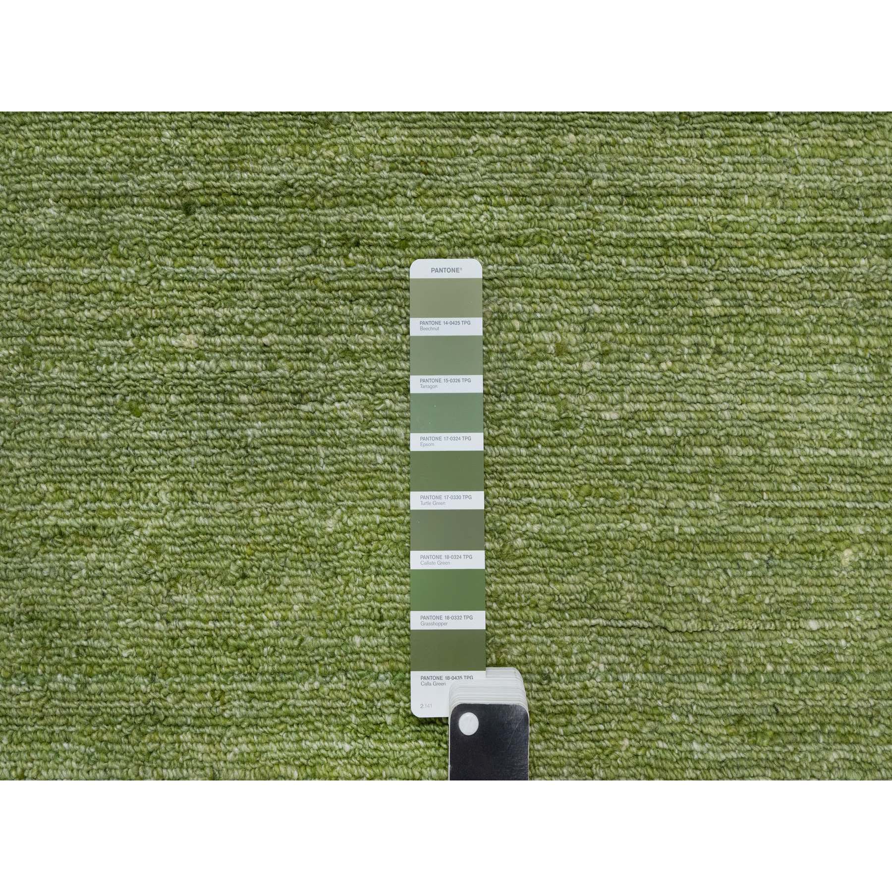 9'1"x12' Grasshopper Green, Soft Pile, Plain Modern Striae Design, Tone on Tone, Pure Wool, Hand Loomed, Oriental Rug Sh91189