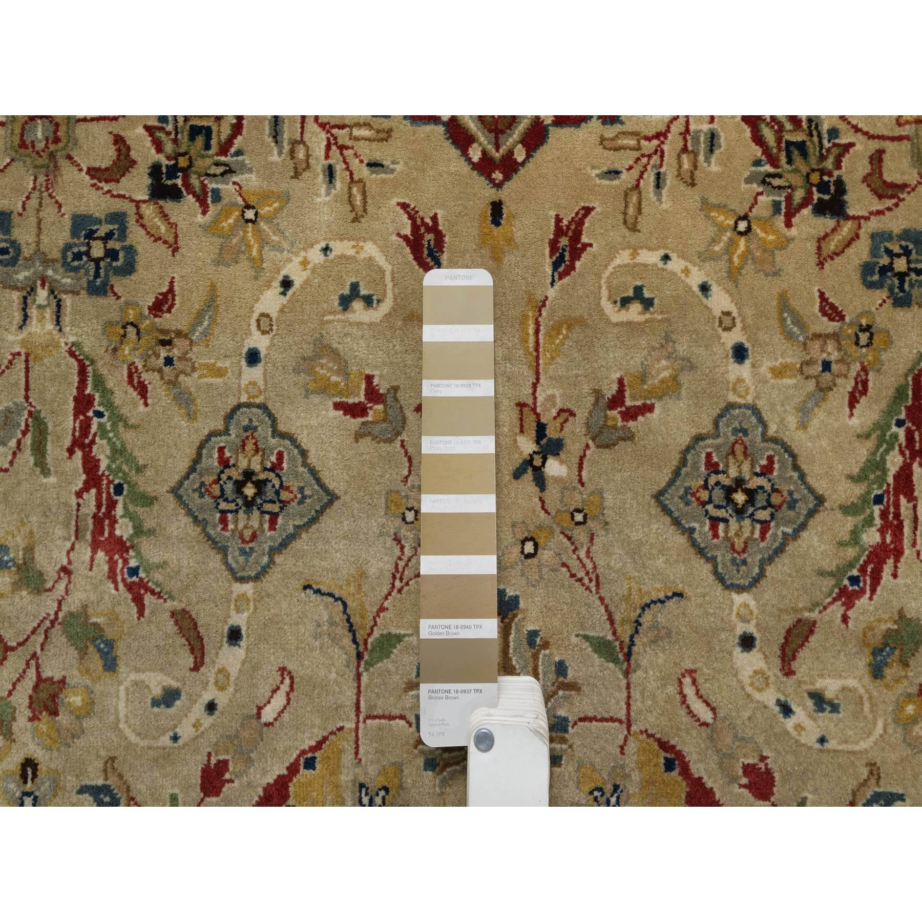 8'x10' Ecru Brown, Kashan Design, 300 KPSI, Hand Spun New Zealand Wool, Hand Knotted, Denser Weave, Oriental Rug Sh91432